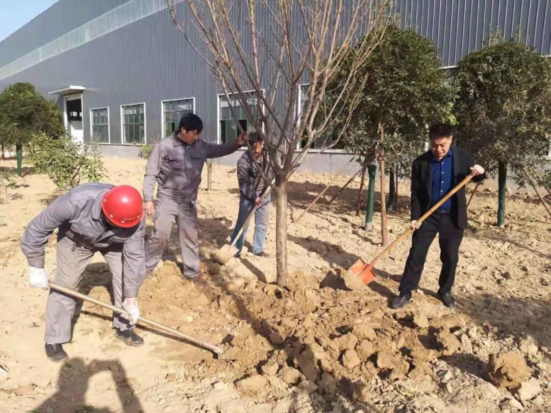 四通员工义务植树、共建和谐绿色家园